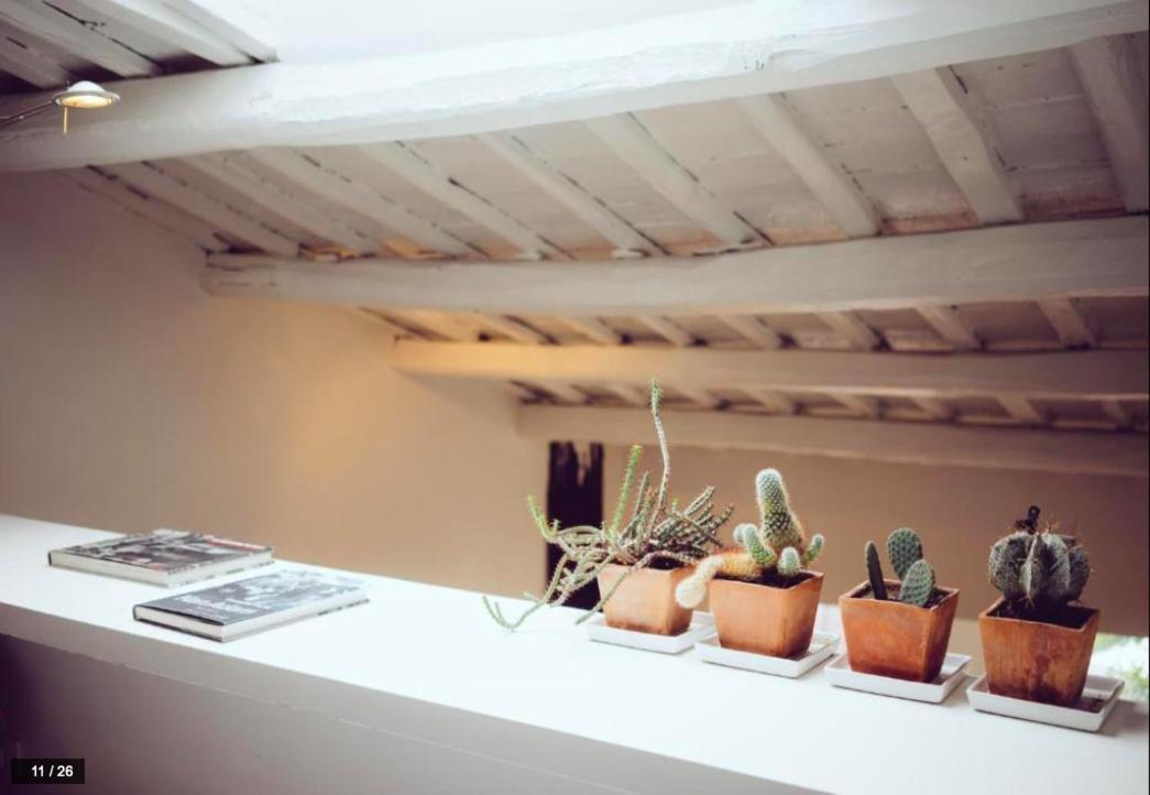 Luxury Art Apartment In Trastevere With Terrace ローマ エクステリア 写真