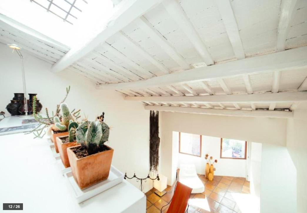Luxury Art Apartment In Trastevere With Terrace ローマ エクステリア 写真